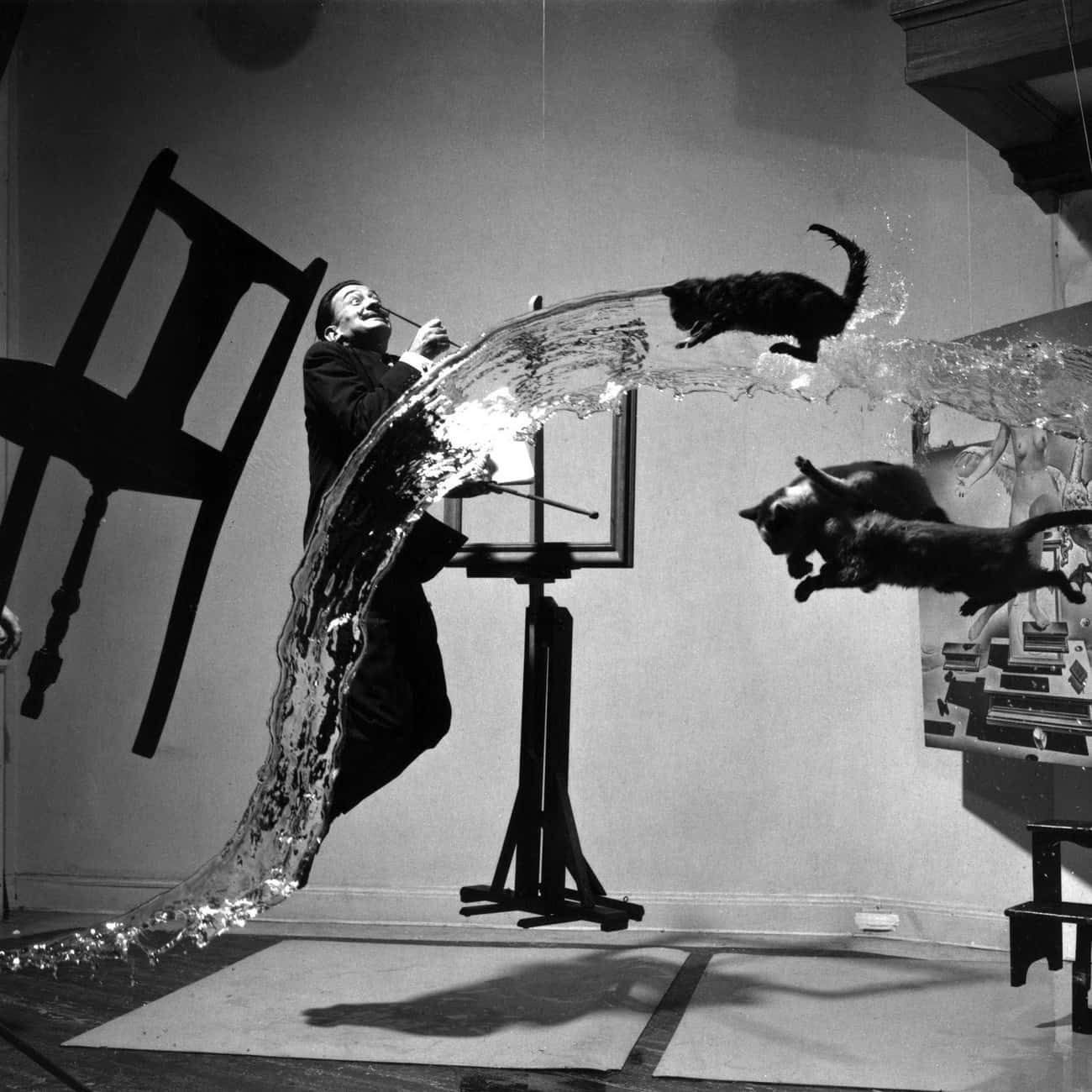 He Created One Of His Most Famous Works By Repeatedly Throwing Cats In The Air