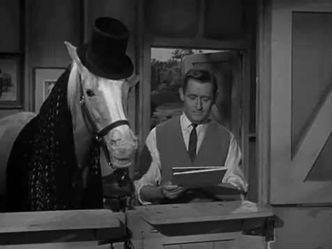 He Wasn’t Even Originally The Horse Set To Play Mr. Ed