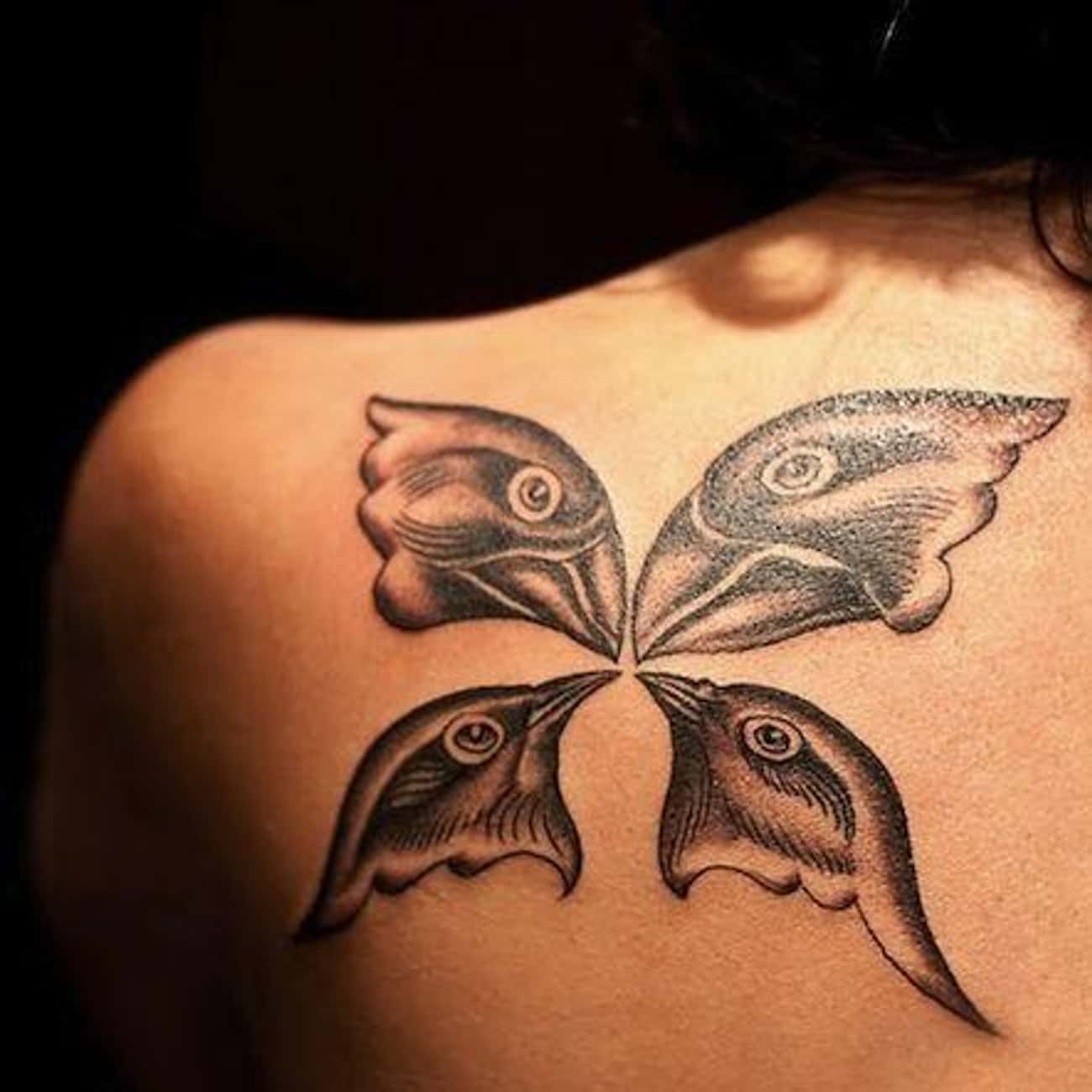 Darwin's Tattoo Of Evolution