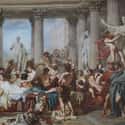 Dinner Parties Took Place In Piles Of Shells And Animal Bones on Random Disgusting Details Of Every Day Life In Ancient Rome