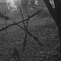 The Big Stick Figure Has A Name on Random Awesome Facts About Original Blair Witch Project