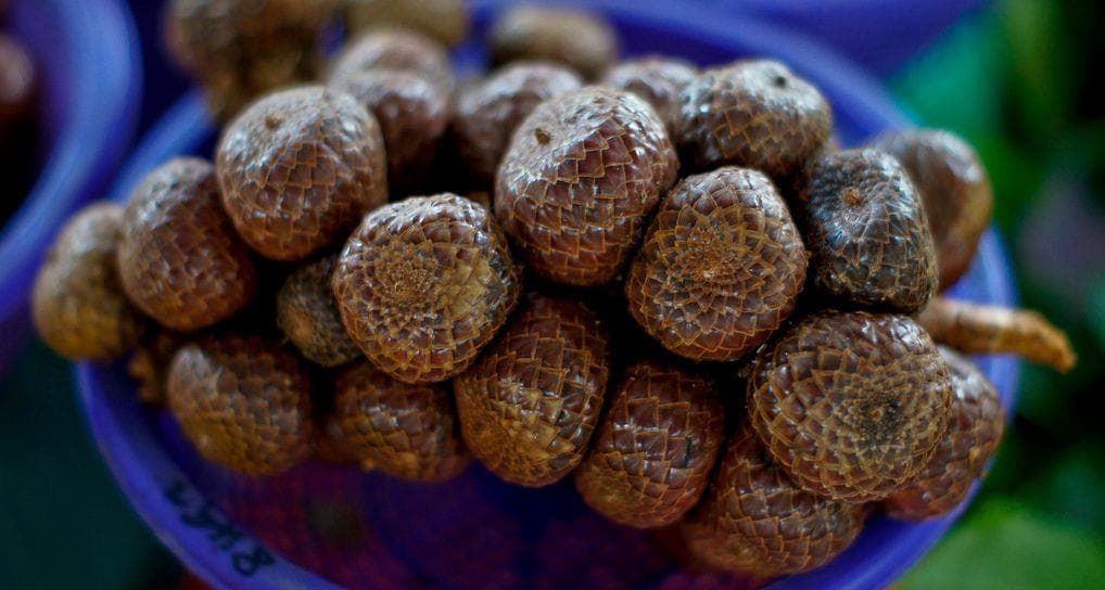 Snakeskin Fruit