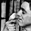 'Birdman Of Alcatraz' Conveniently Leaves Out The Part About Robert Stroud Being A Violent Prison Instigator on Random Horrible True Stories Left Out Of Biopics To Make Person Look Bett