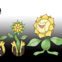Sunkern - Sunflora on Random Links Between Pokemon Evolutions