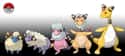 Mareep - Flaaffy - Ampharos on Random Links Between Pokemon Evolutions