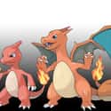 Charmander - Charmeleon - Charizard on Random Links Between Pokemon Evolutions
