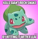 Leaf Onyx Alone on Random Hilarious Examples Of Pokémon Logic That Make No Sense