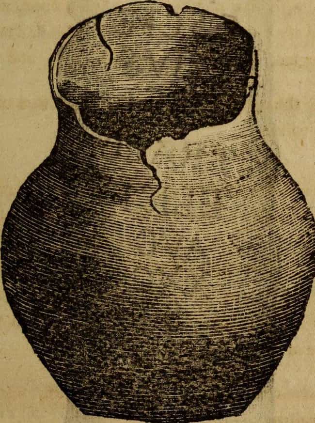 Midas's Beer is listed (or ranked) 8 on the list 10 Fascinating Alcoholic Drinks From Ancient Societies