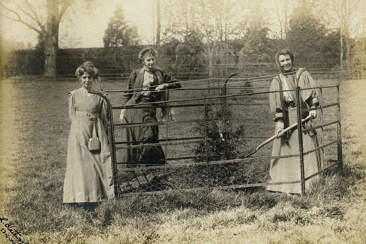 Sex Strikes Offered A Titillating Option For Women To Exert Political Influence