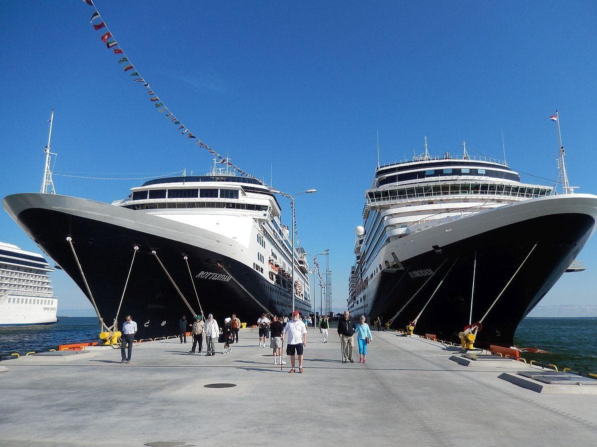 20 People Who Fell Off The Sides of Cruise Ships