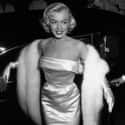 Her Autopsy Couldn't Be Completed Because Her Organs Had Been Destroyed on Random Shocking Details About Marilyn Monroe's Death You Probably Never Knew