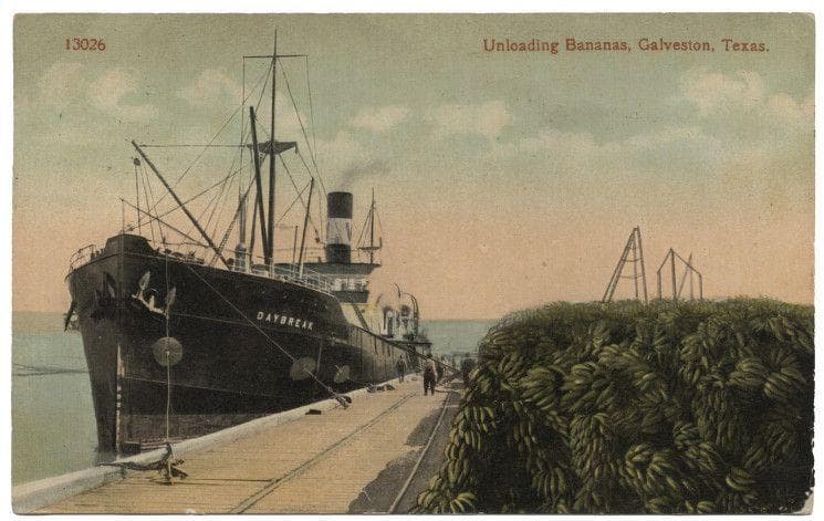 Bananas Are Bad Luck