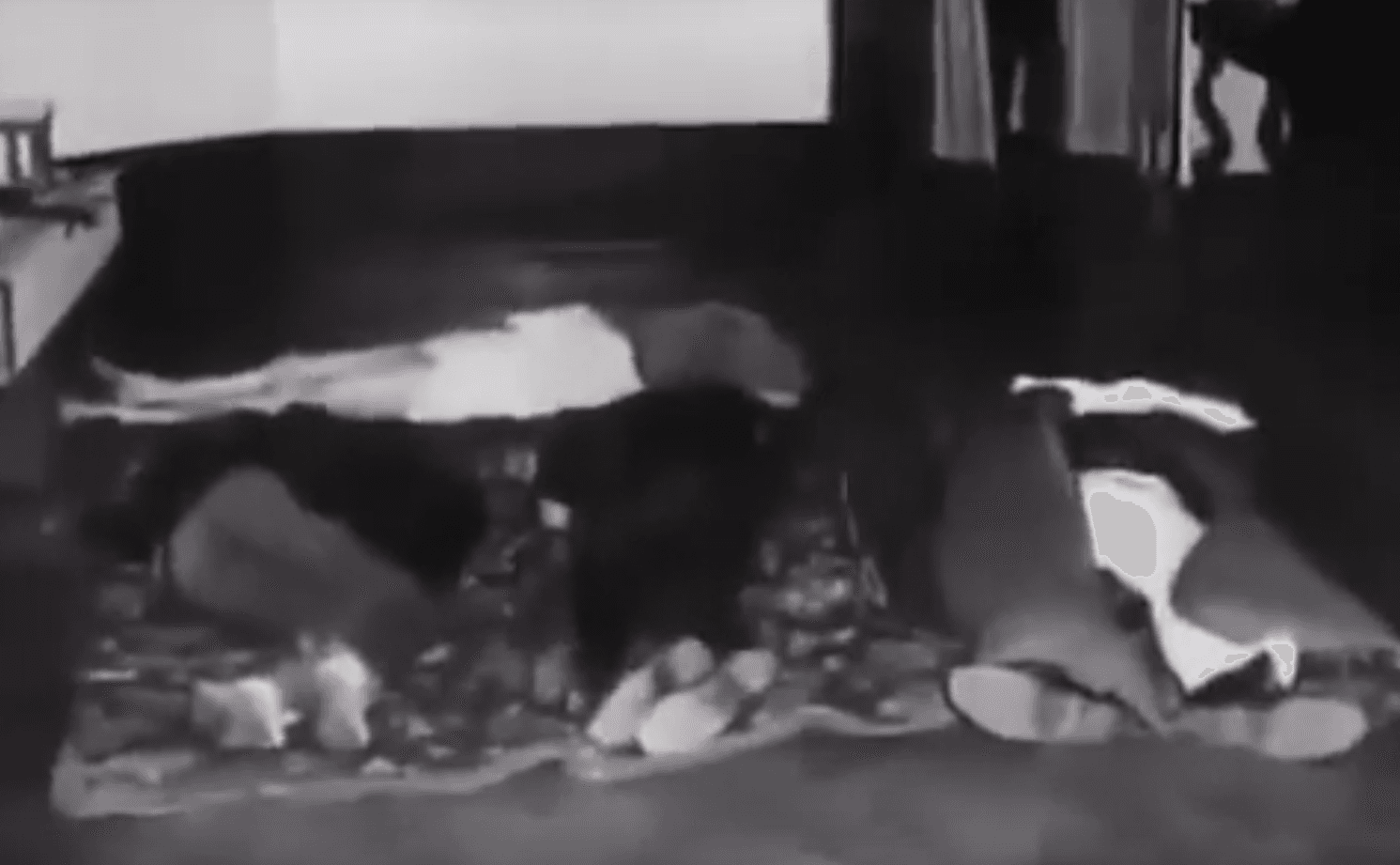 14 Chilling Facts About The New Jersey Murderer Who Killed His Entire Family