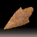 The Remains Of A Teenage Settler And The Arrowhead That Ended Him on Random Mysterious And Creepy Items Discovered At Jamestown, Virginia