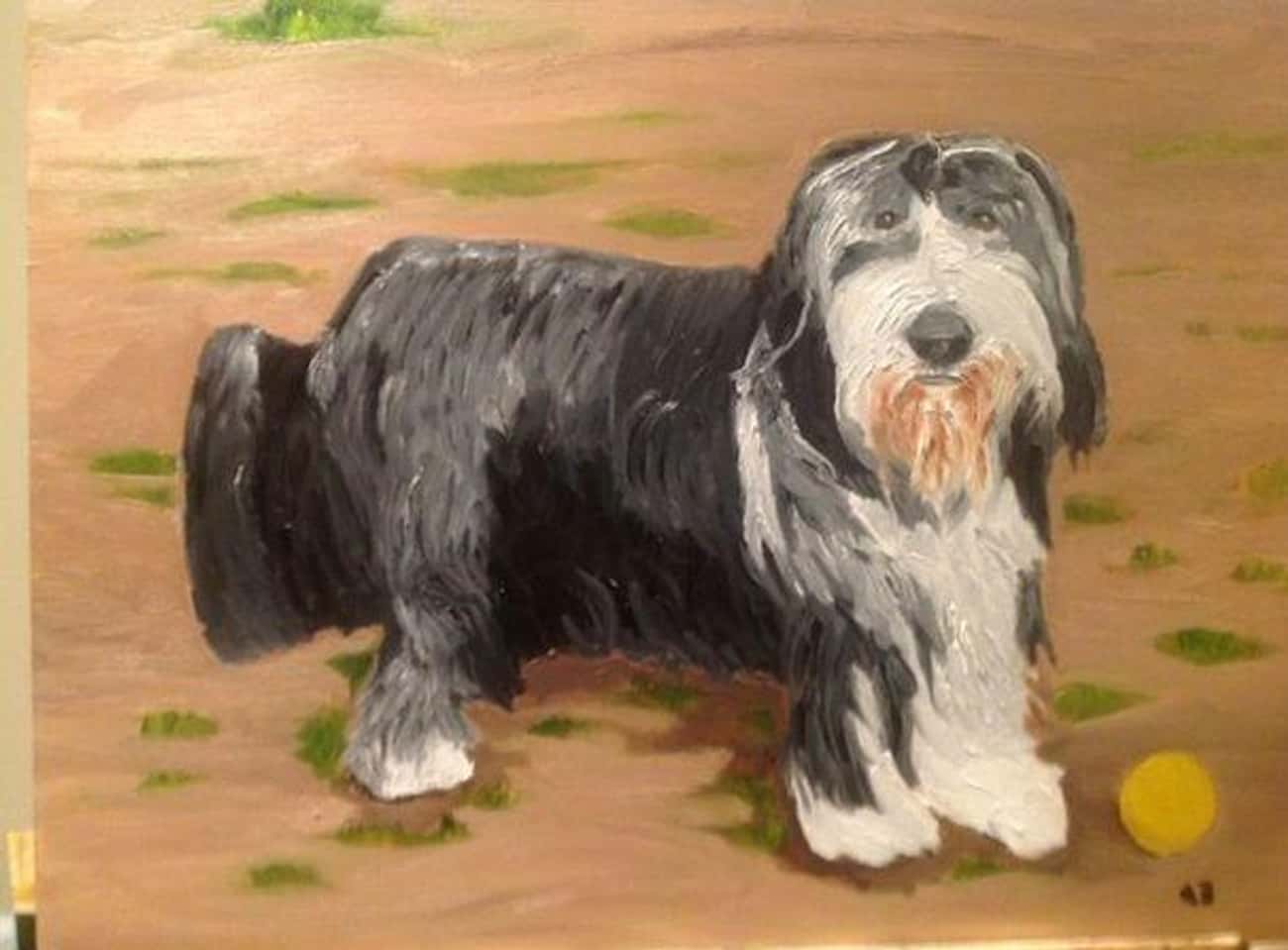 Unknown Pooch Painting