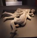 Contemporary CT Scans Are Correcting Old Assumptions About The Bodies on Random Bizarre Things Most People Don't Know About The Bodies Preserved At Pompeii