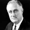 FDR Ran On The Platform Of The New Deal on Random Things Everyone Thinks About The Great Depression That Are Totally Wrong