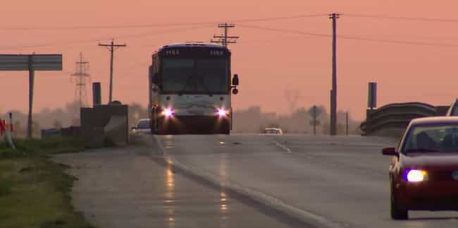 tim mclean bus video