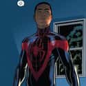 Miles Morales Is A Better Outsider Than Peter Parker on Random Superhero Replacements Better Than Their Predecessors