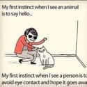 Thank God Animals Can't Talk on Random Memes All Socially Awkward People Understand Too Well