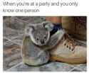 Party Animal on Random Memes All Socially Awkward People Understand Too Well