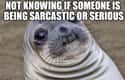 Seal The Deal on Random Memes All Socially Awkward People Understand Too Well