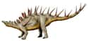 The Kentrosaurus Puts Porcupines To Shame on Random Most Bizarre Dinosaurs That Ever Existed
