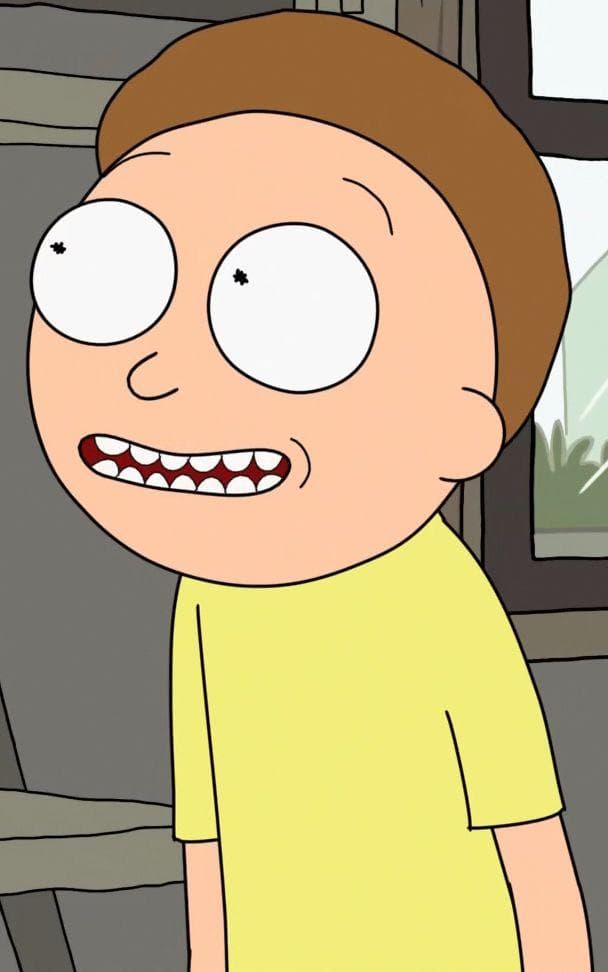 Image of Random Versions Of Morty That We've Seen On Rick And Morty