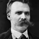 Nietzsche Retired In His Thirties And Lived Out Of A Suitcase on Random Things About The Tortured, Fascinating Life of Friedrich Nietzsche