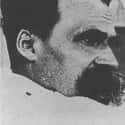 Nietzsche Did Not Achieve Any Real Attention During His Lifetime on Random Things About The Tortured, Fascinating Life of Friedrich Nietzsche