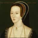 She Outlived All The Other Wives on Random Things That Henry VIII Wanted To Divorce His Fourth Wife Before They Even Got Married