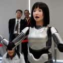 It Takes Over 100 Robots To Run A Hotel on Random thing You Need To Know About Japan's Robot Hotels