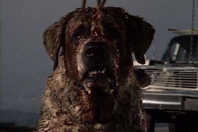 14 Details About The Horrible Accident That Almost Killed Stephen King