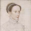 She Was Queen Of France Until Her First Husband Died Of An Ear Condition on Random Tragic Facts About Mary, Queen of Scots, Most Unlucky Queen In History