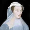 After Abdicating In Favor Of Her Young Son, Mary Never Got To See Him Again on Random Tragic Facts About Mary, Queen of Scots, Most Unlucky Queen In History