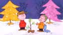 Without His Input, A Charlie Brown Christmas Would Have Been Very Different on Random Surprising Facts About Peanuts And Its Creator Charles Schulz
