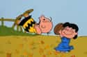 Many Early Peanuts Comic Strips Are Really Bleak on Random Surprising Facts About Peanuts And Its Creator Charles Schulz