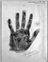 Amelia Earhart's Palm Print on Random Fascinating Historical Artifacts Stored In Library of Congress