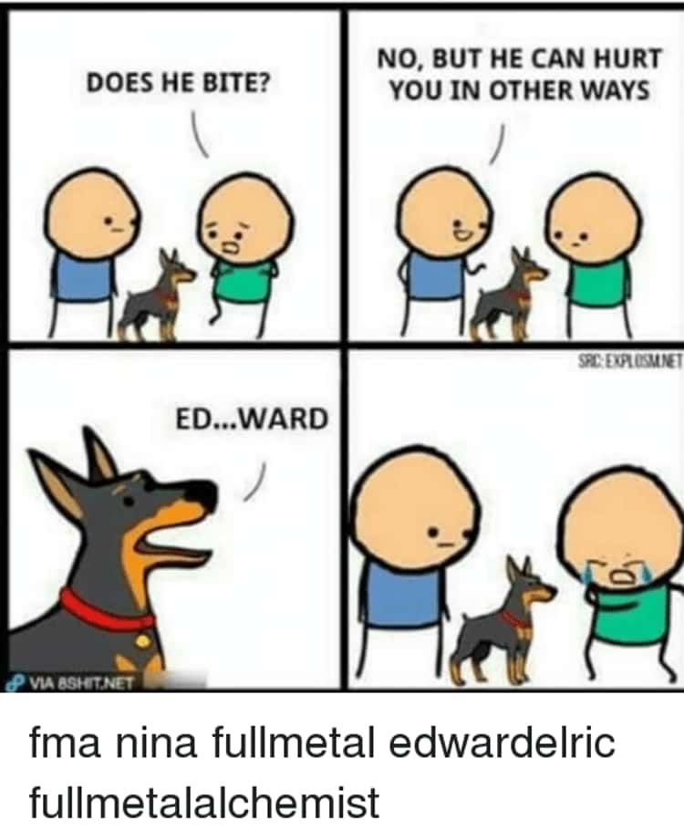Nina Tucker Dog Filter Meme (Fullmetal Alchemist Brotherhood
