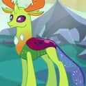 Thorax on Random Best My Little Pony: Friendship Is Magic Characters