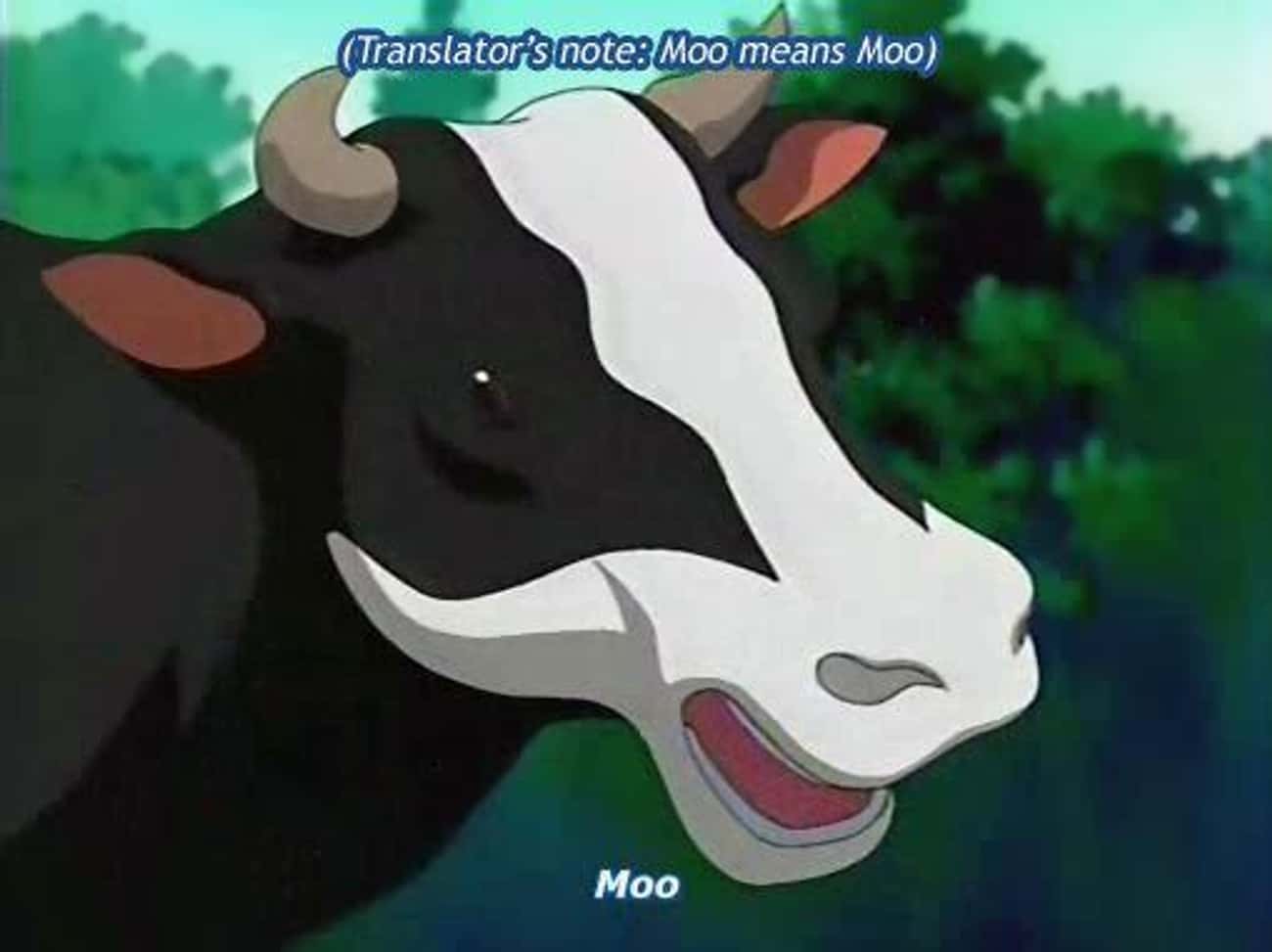 This Deep Insight Into The Mind Of A Japanese Cow