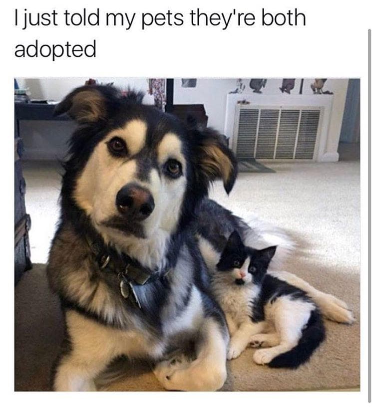 They Never Bought The Stork Metaphor Anyway