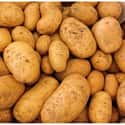 Wild Potatoes Are Teeny Tiny on Random Pics Of Common Fruits As You Know Them Compared To Their Undomesticated Forms