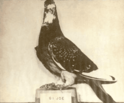 G.I. Joe Saved The Lives Of 1,000 Men