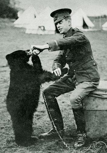 Winnipeg The Bear Was The Inspiration For Winnie The Pooh