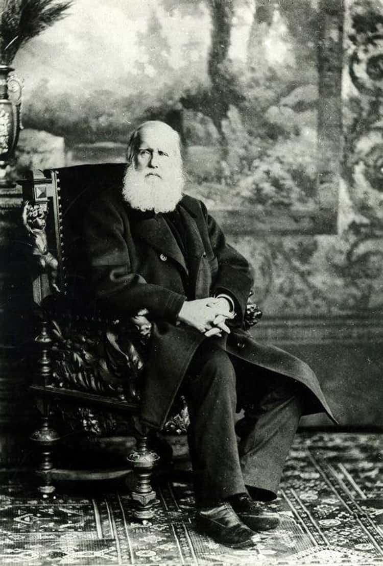 Dom Pedro II Really is One of the Best Ruler in the Game and in