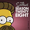 The Simpsons - Season 28 on Random Best Seasons of 'The Simpsons'