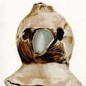Plague Masks Were All About Smelling The Roses on Random Horrifying Things Most People Don't Know About Plague Doctors