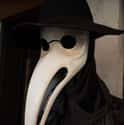 Plague Doctor Hats Were Used For Identification on Random Horrifying Things Most People Don't Know About Plague Doctors