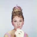 In Character As Holly Golightly on Random Rare Audrey Hepburn Photos
